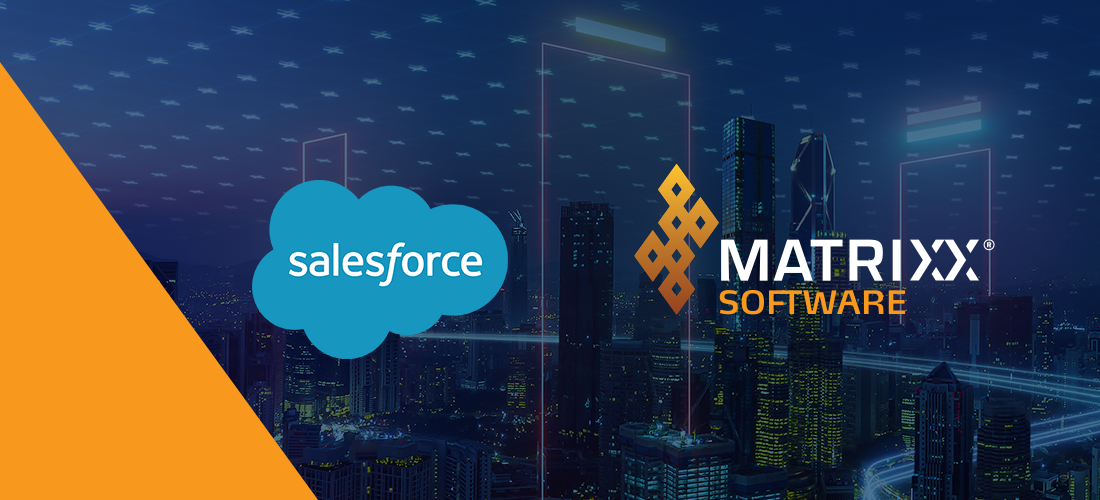 MATRIXX and Salesforce B2B Experience