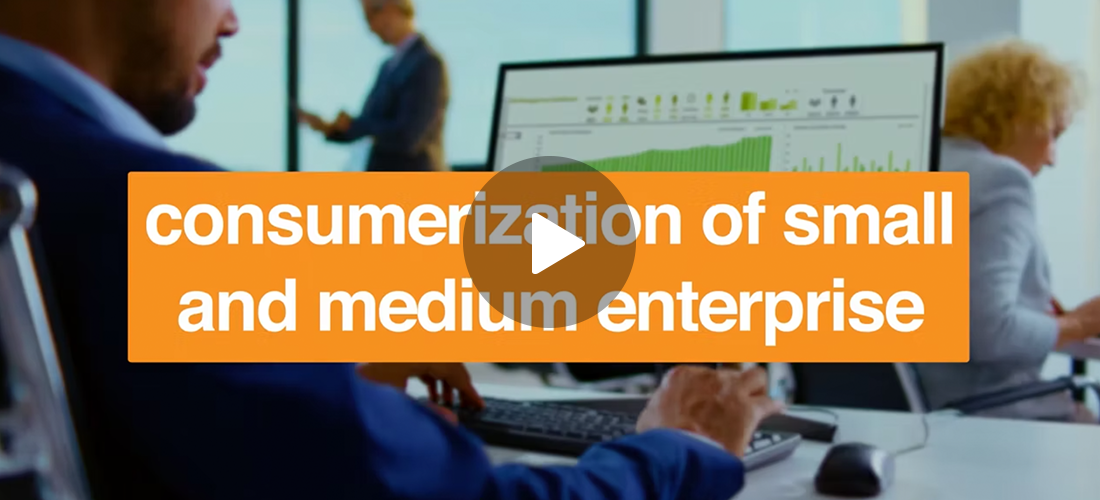 Monetize the Consumerization of Small & Medium Enterprise video